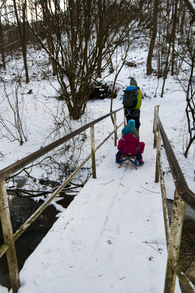 A bridge over the river Ricka