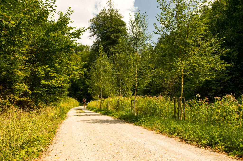 Way to Novy Hradek
