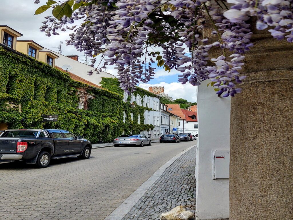 202106 Mikulov 2