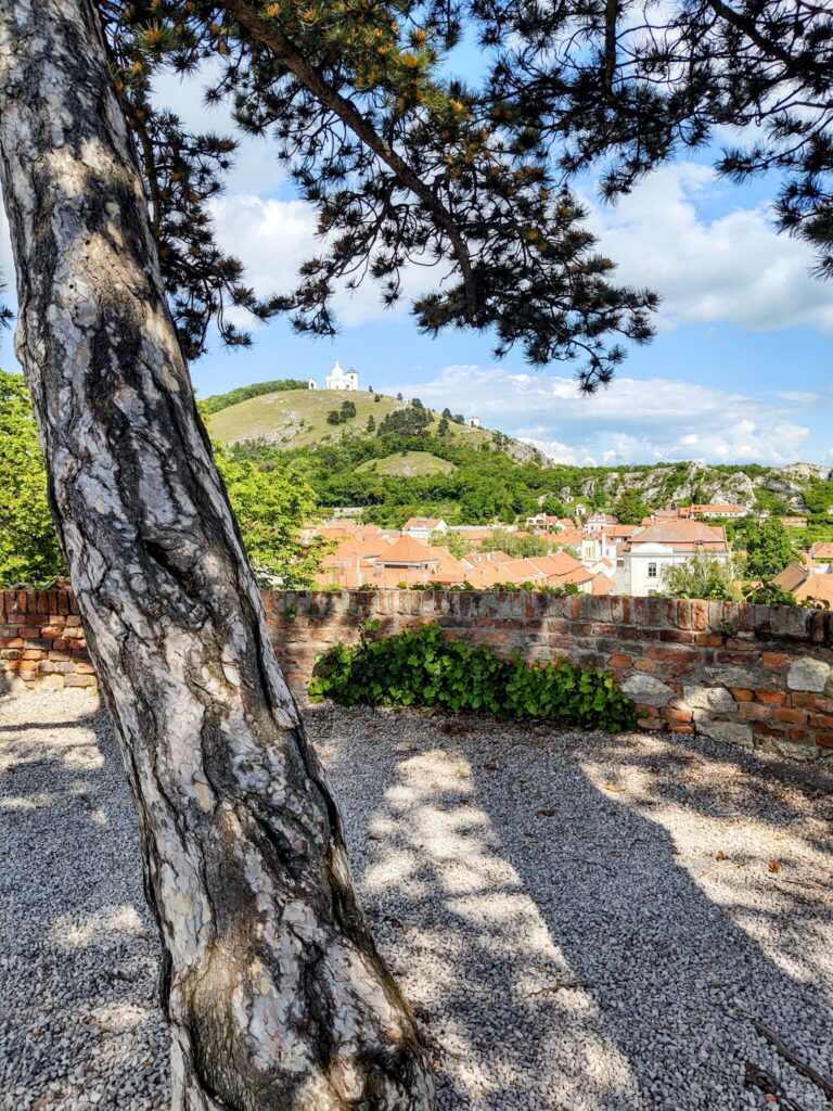 202106 Mikulov 8