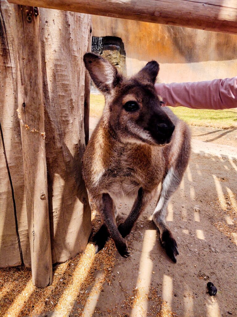 ZOO Vyskov 9