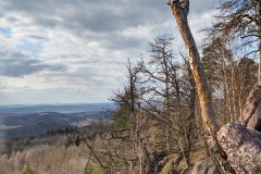 IMG_20210328_165456949_HDR