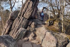 IMG_20210328_165501320_HDR