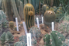 201302_Botanical_Garden_00006