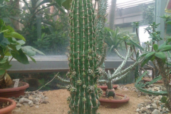 201302_Botanical_Garden_00009