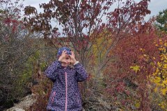 IMG_20201018_155959669