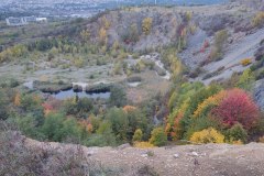 IMG_20201018_174149701