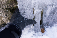 201303_Vir_00013