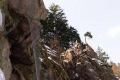 201303_Vir_00017