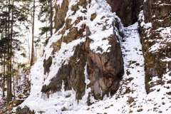 201303_Vir_00020