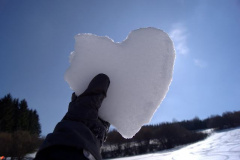 201304_Dalecin_00001