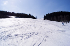 201304_Dalecin_00003
