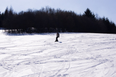 201304_Dalecin_00004