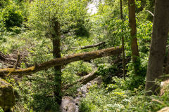 201305_Veselice_Observation_Tower_00009