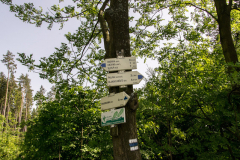 201305_Veselice_Observation_Tower_00021