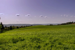 201305_Veselice_Observation_Tower_00023