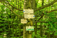201305_Veselice_Observation_Tower_00038