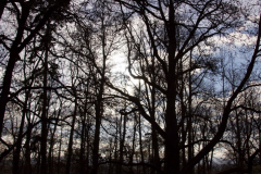 201401_Hluboka_nad_Vltavou_00007