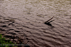201404_Brno_Marianske_Udoli_00006