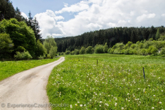 201405_Cerna_Hora_Lysice_00004