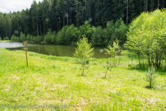 201405_Cerna_Hora_Lysice_00005