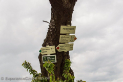 201405_Cerna_Hora_Lysice_00008