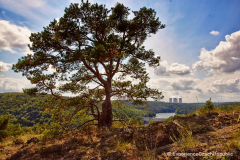 201408_Mohelno_Dalesice_00020