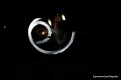 201409_Cimburk_00015