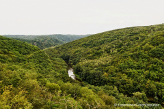 201409_Novy_Hradek_u_Lukova_00009