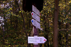 201410_Krtiny_00016