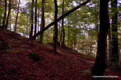 201410_Krtiny_00017