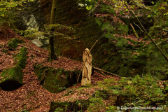 201411_Ceske_Svycarsko_00010