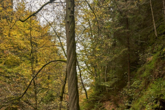 201411_Ceske_Svycarsko_00013