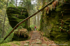 201411_Ceske_Svycarsko_00033