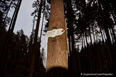 201411_Ceske_Svycarsko_00035