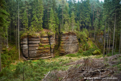 201411_Ceske_Svycarsko_00036