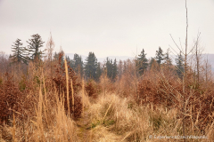 201501_Stupava_Kazatelna_00001