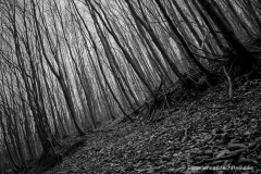 201501_Stupava_Kazatelna_00004