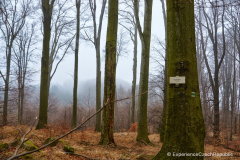 201501_Stupava_Kazatelna_00008