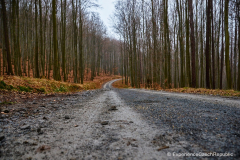 201501_Stupava_Kazatelna_00010