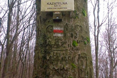 201501_Stupava_Kazatelna_00014