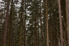 201502_Jeseniky_Mala_Moravka_00001