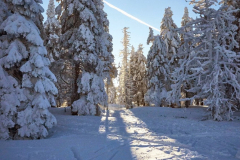 201502_Jeseniky_Praded_00021