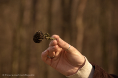 201504_Wilsonuv_Les_00002