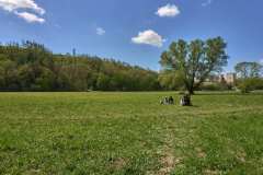Brno Zamilovany Hajek