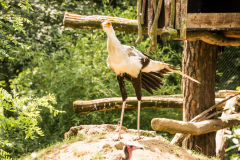 Zoo Zlin