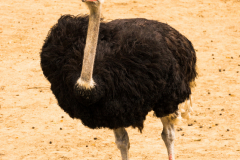 Zoo Zlin