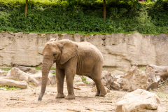 Zoo Zlin