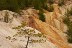 PANO_72dpi-20200517_Rudice_184