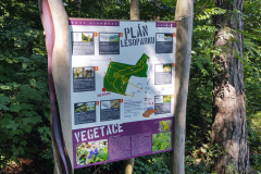 Kamenny Vrch Plan